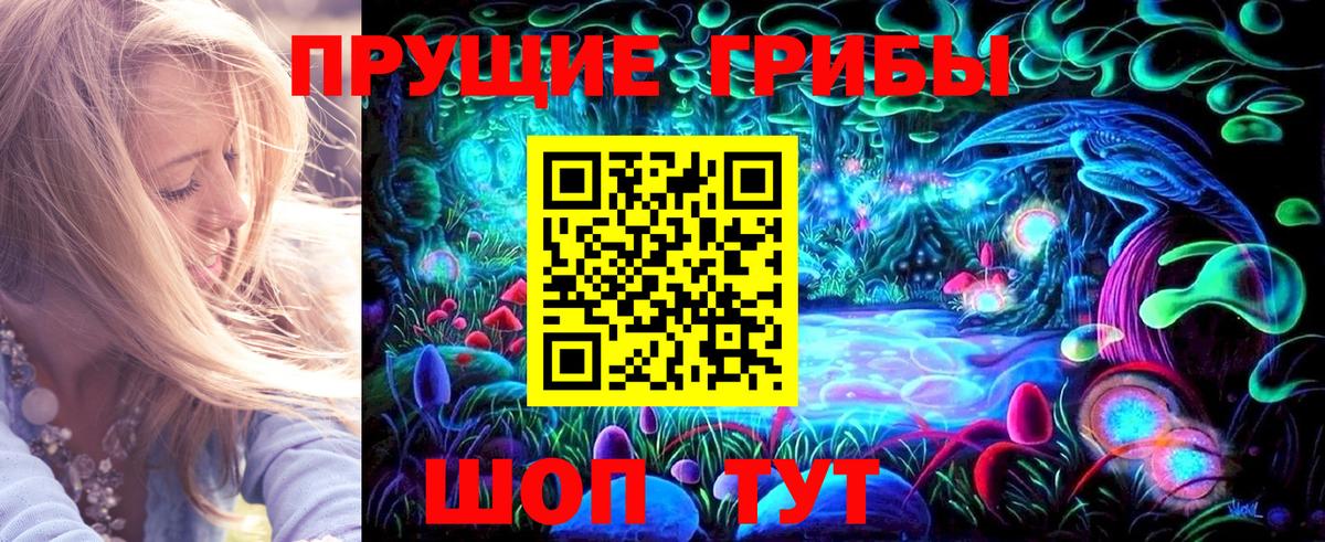Псилоцибиновые грибы GOLDEN TEACHER Сунжа
