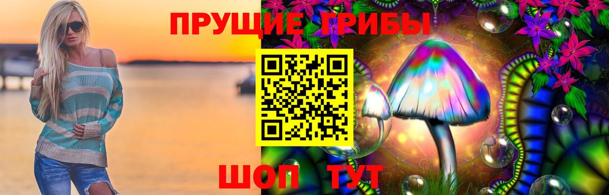 Сунжа  Псилоцибиновые грибы Cubensis  Вход с VPN 
